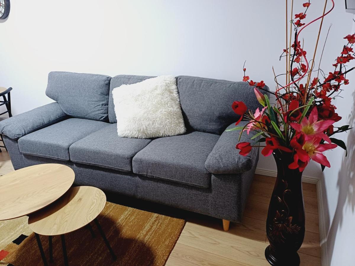 Regis Apartment تيرانا المظهر الخارجي الصورة